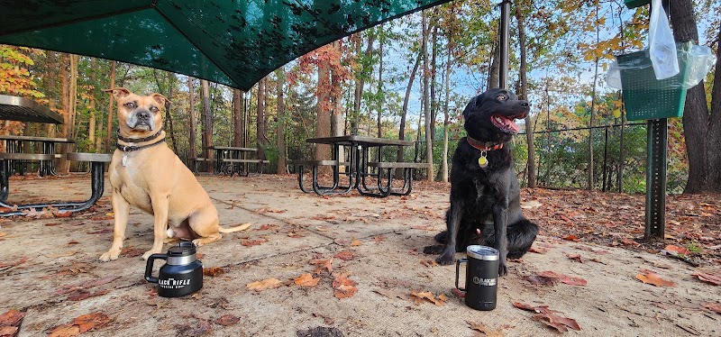 Rosedale Dog Park - Huntersville, NC