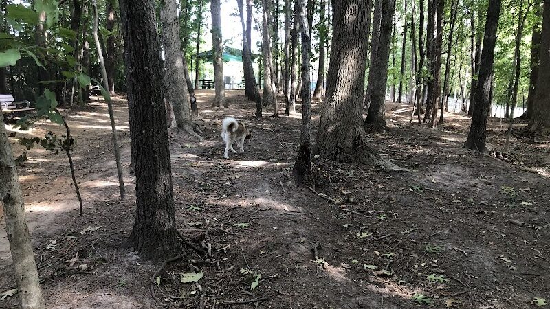 Rosedale Dog Park - Huntersville, NC