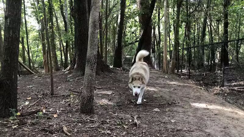 Rosedale Dog Park - Huntersville, NC