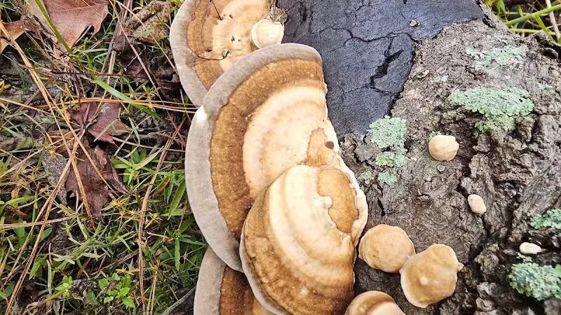 Hanks Creek Park - Huntington, TX