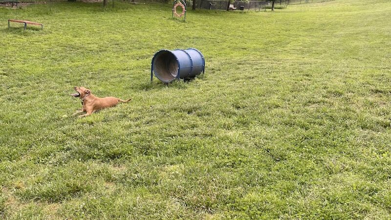 Huntington PetSafe Dog Park - Huntington, WV