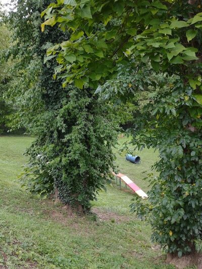 Huntington PetSafe Dog Park - Huntington, WV