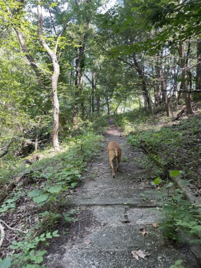 Rotary Park - Huntington, WV