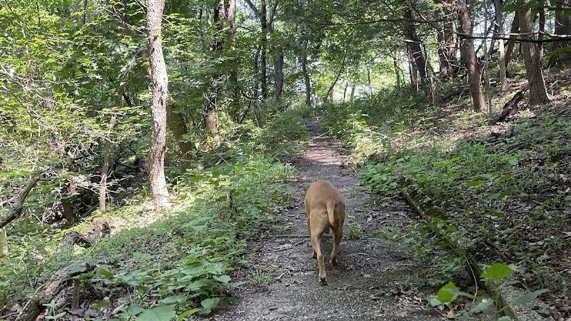 Rotary Park - Huntington, WV