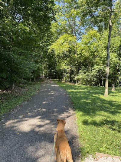 Rotary Park - Huntington, WV
