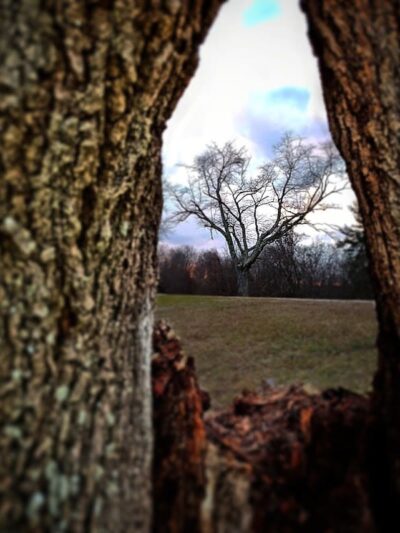 Rotary Park - Huntington, WV