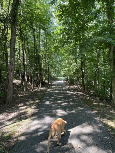 Rotary Park - Huntington, WV