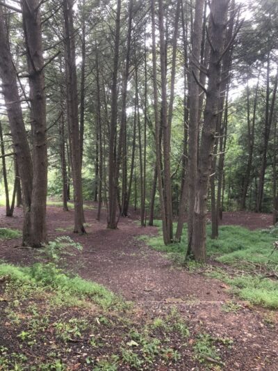 Rotary Park Trail Parking - Huntington, WV