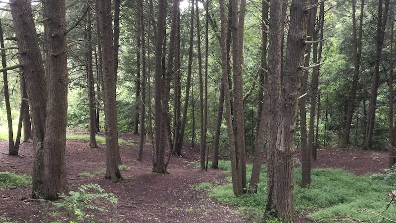 Rotary Park Trail Parking - Huntington, WV