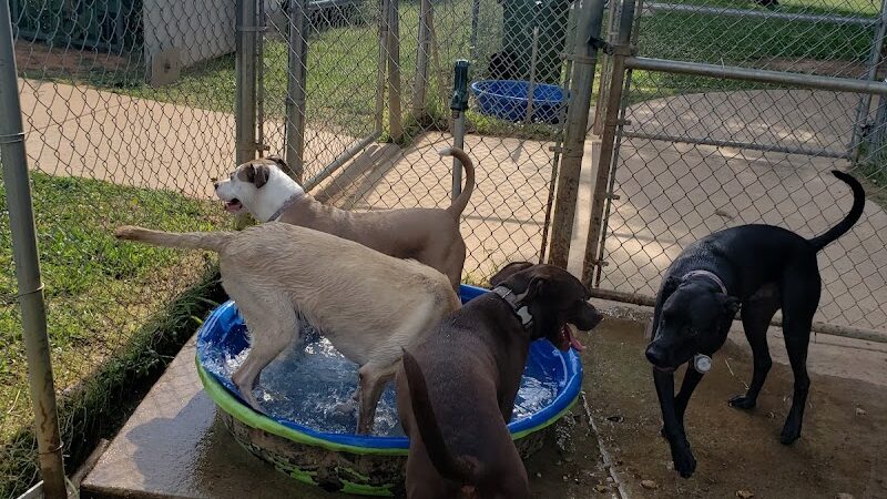 Astro Dog Park - Huntsville, AL