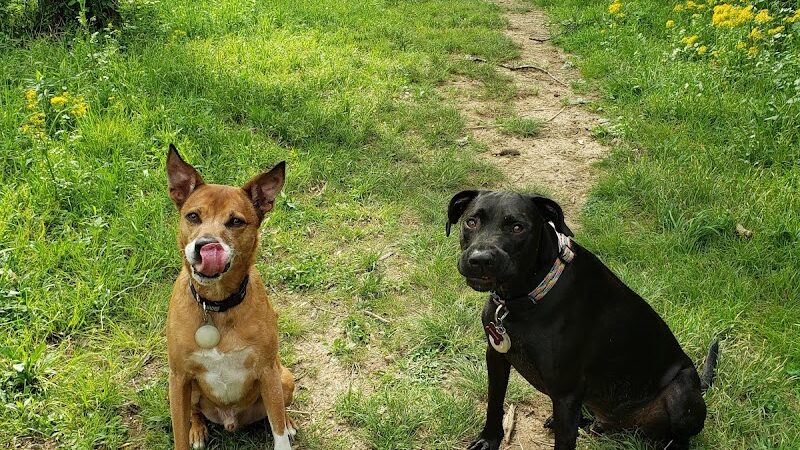 Astro Dog Park - Huntsville, AL