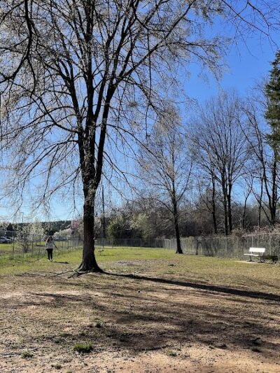 Astro Dog Park - Huntsville, AL