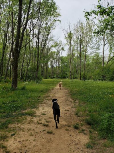 Astro Dog Park - Huntsville, AL
