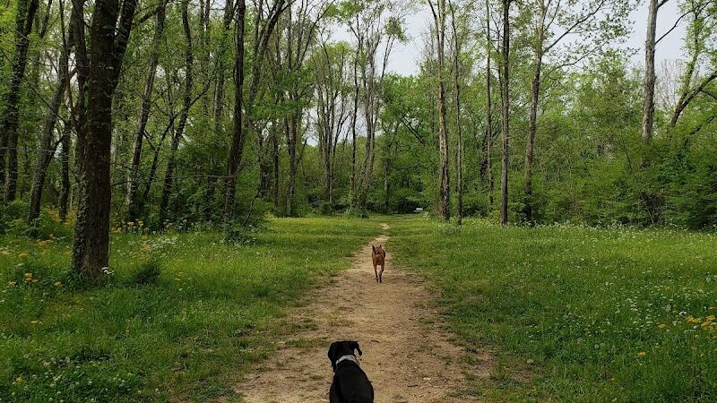 Astro Dog Park - Huntsville, AL