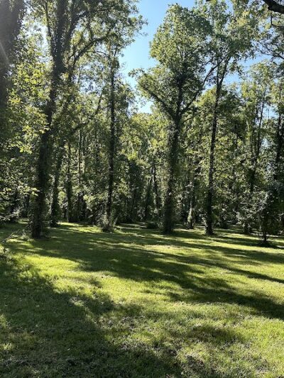 Astro Dog Park - Huntsville, AL