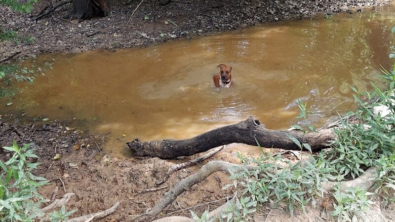 Astro Dog Park - Huntsville, AL