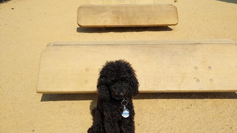 Astro Dog Park - Huntsville, AL