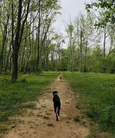 Astro Dog Park - Huntsville, AL