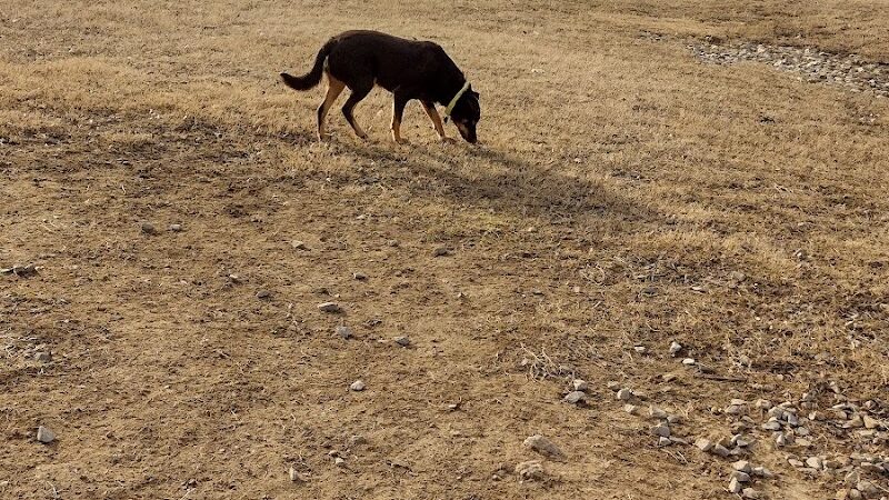 City of Huntsville Dogspot - Huntsville, AL