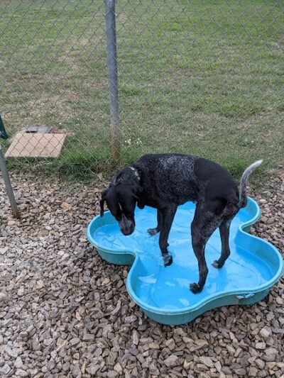 City of Huntsville Dogspot - Huntsville, AL