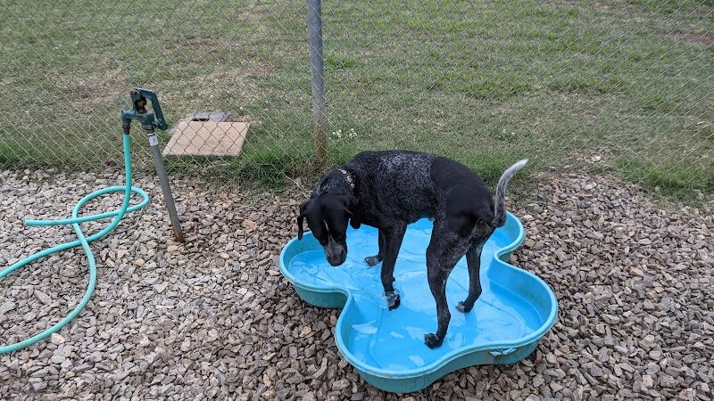 City of Huntsville Dogspot - Huntsville, AL