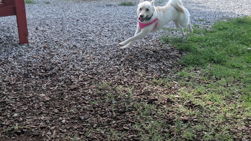 City of Huntsville Dogspot - Huntsville, AL