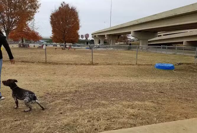 City of Huntsville Dogspot - Huntsville, AL