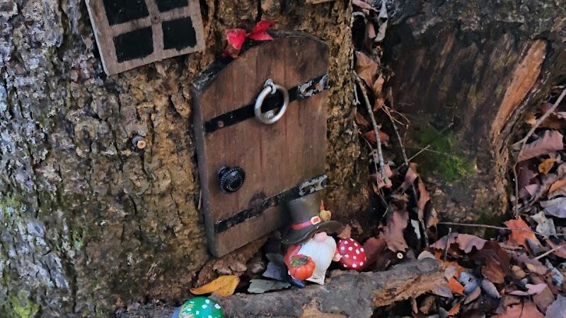 Providence Pet Park - Huntsville, AL