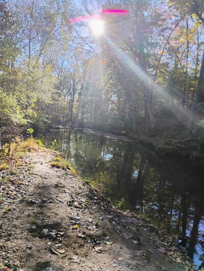 Providence Pet Park - Huntsville, AL