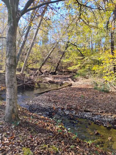 Providence Pet Park - Huntsville, AL