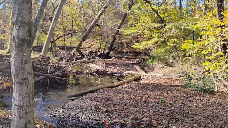 Providence Pet Park - Huntsville, AL