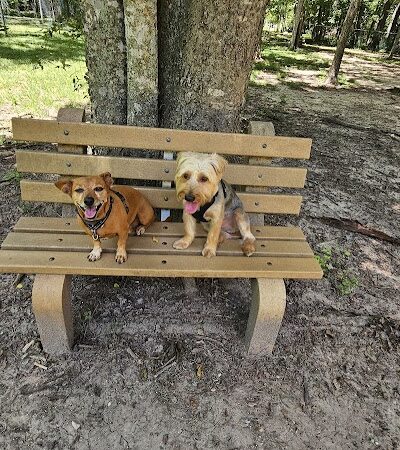 dog park - Huntsville, TX