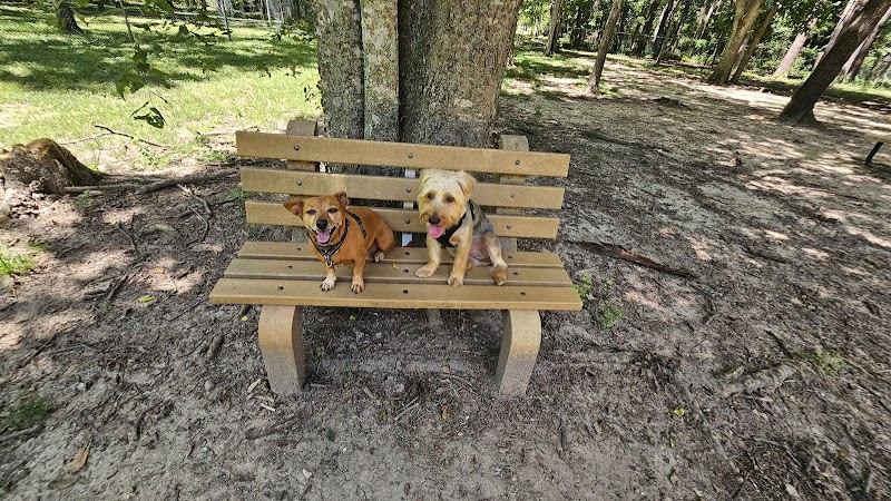 dog park - Huntsville, TX