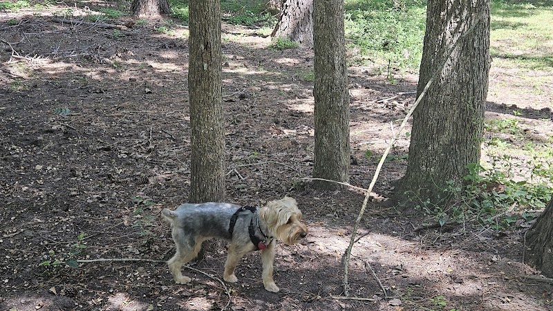 dog park - Huntsville, TX