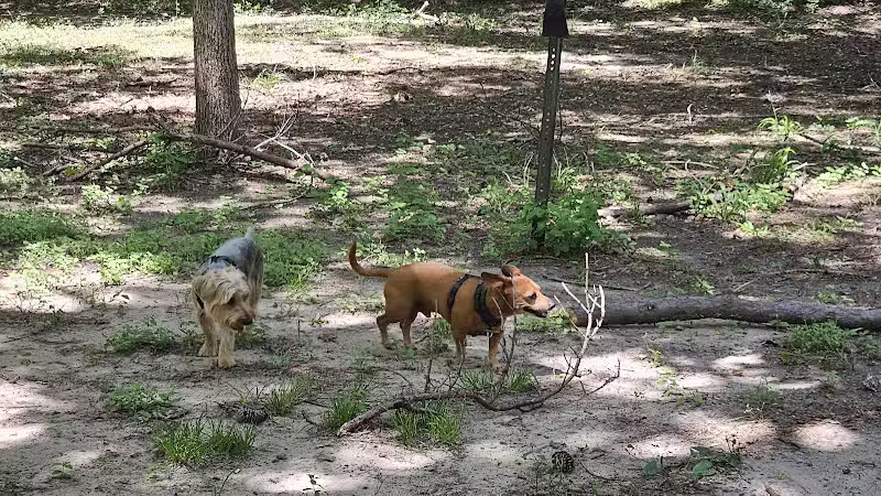 dog park - Huntsville, TX