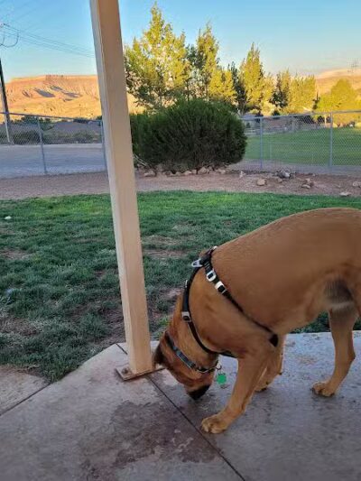 Hurricane Dog Park - Hurricane, UT