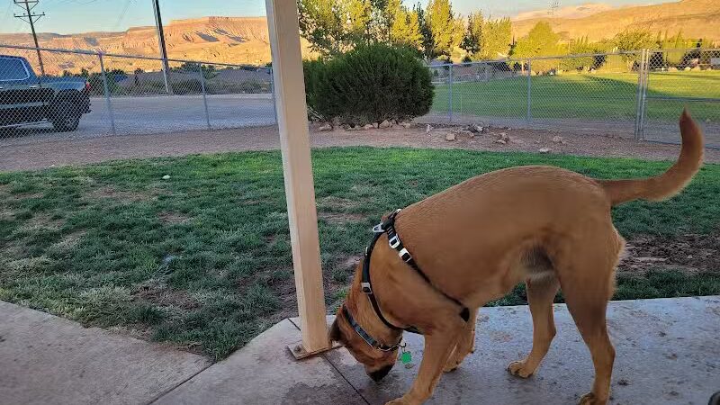 Hurricane Dog Park - Hurricane, UT