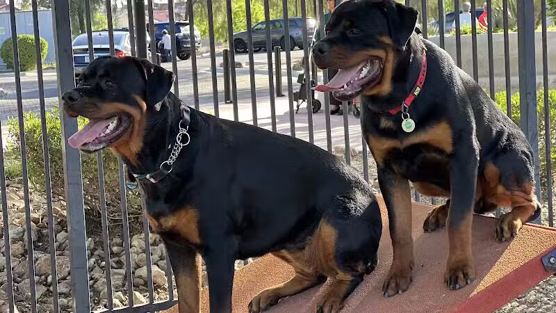 Hurricane Dog Park - Hurricane, UT