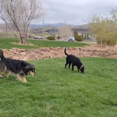 Hurricane Dog Park - Hurricane, UT