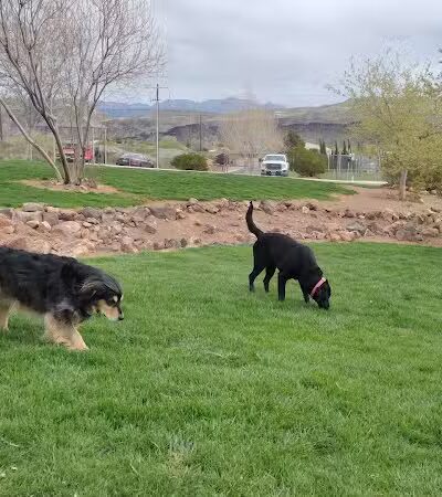 Hurricane Dog Park - Hurricane, UT