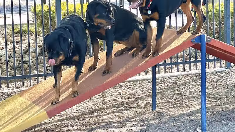 Hurricane Dog Park - Hurricane, UT