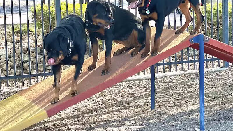 Hurricane Dog Park - Hurricane, UT