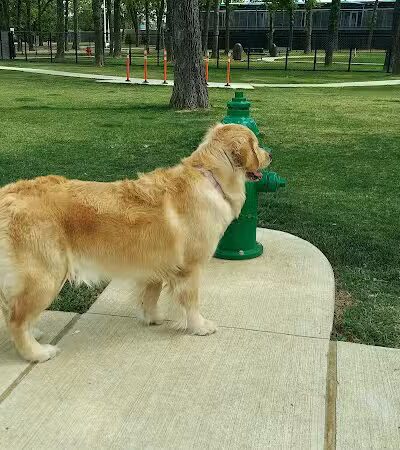 Hurst Dog Park - Hurst, TX