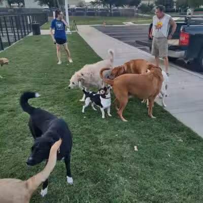 Hurst Dog Park - Hurst, TX