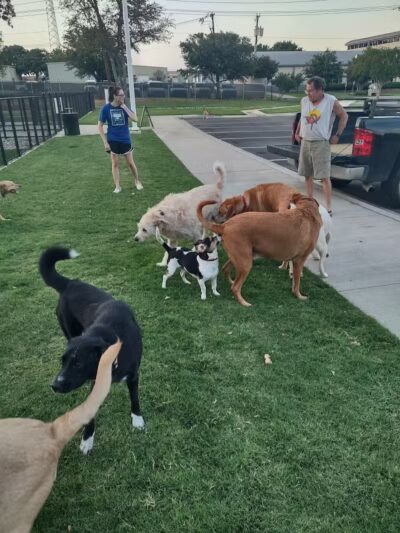 Hurst Dog Park - Hurst, TX