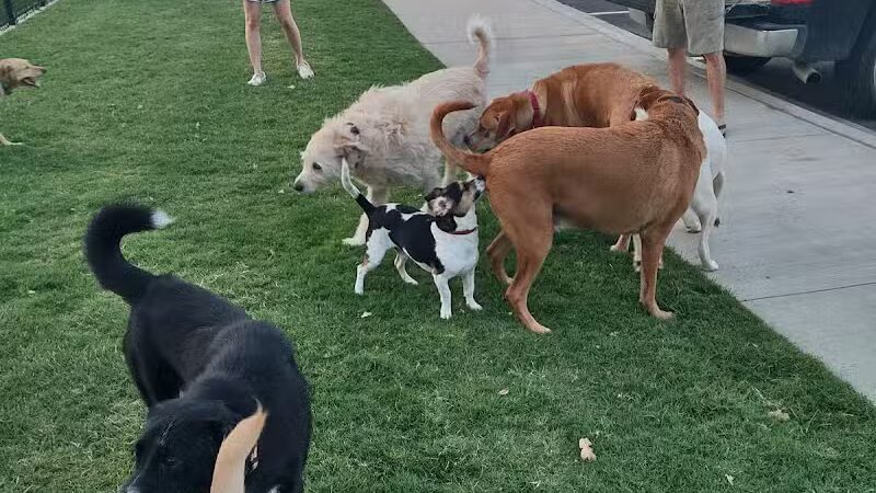 Hurst Dog Park - Hurst, TX