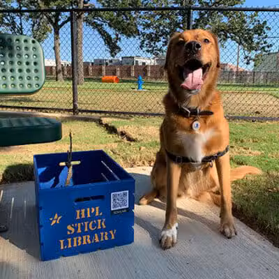 Hurst Dog Park - Hurst, TX