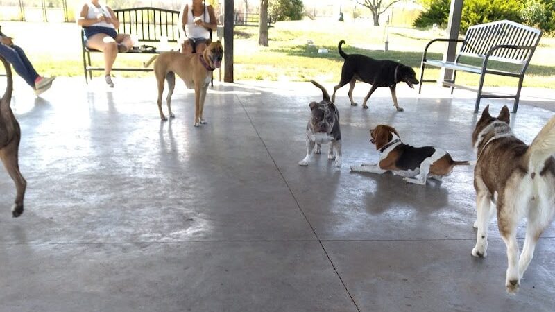 City of Hutchinson Dog Park - Hutchinson, MN