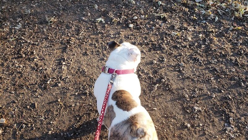 City of Hutchinson Dog Park - Hutchinson, MN