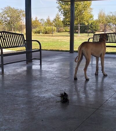 City of Hutchinson Dog Park - Hutchinson, MN